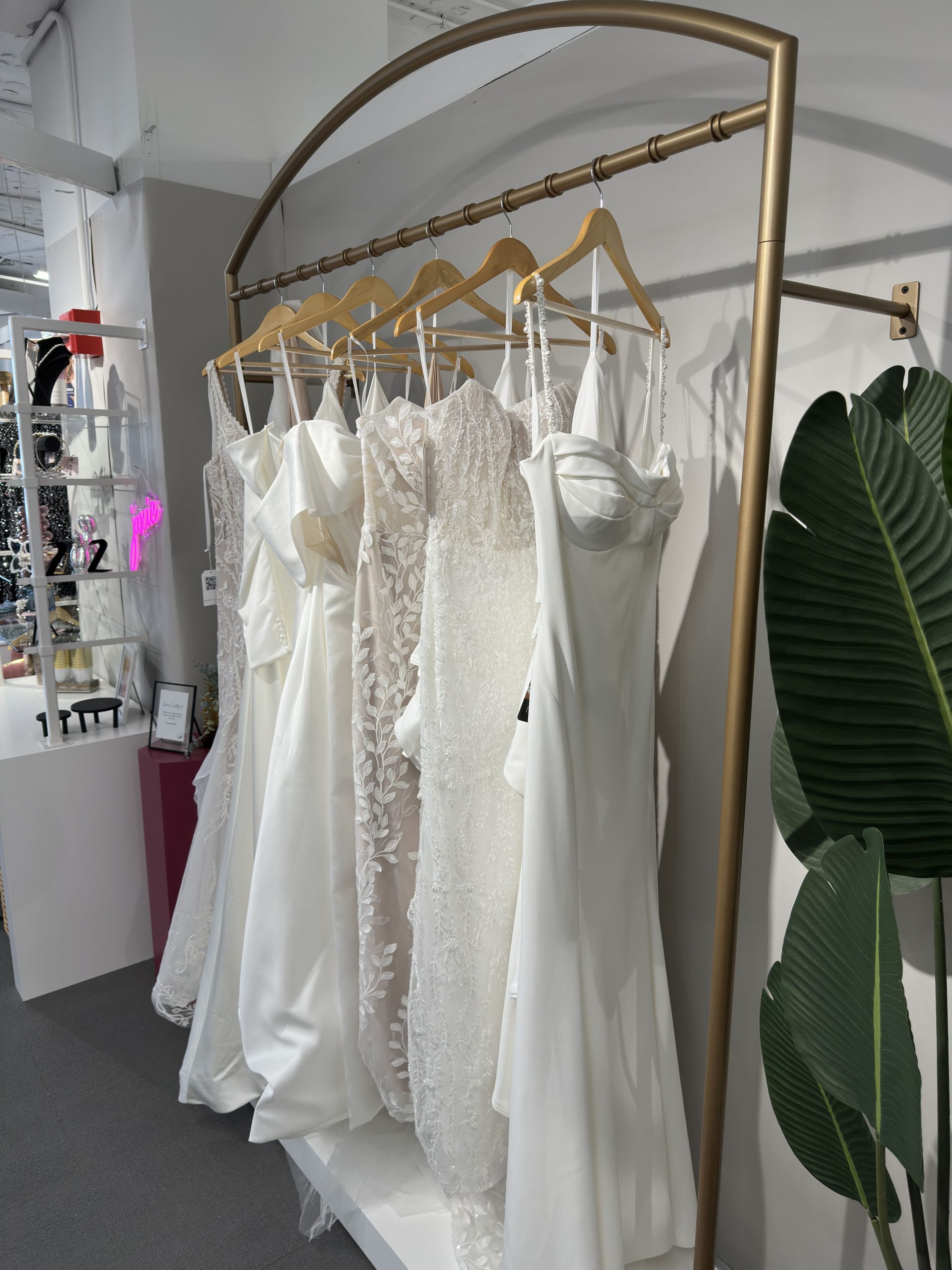Crescent Wall Anchored Dress Rack