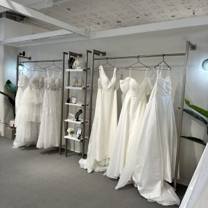 Modern Wall Anchored Dress Rack